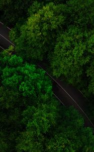 Preview wallpaper road, trees, aerial view, treetops, green