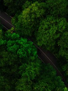 Preview wallpaper road, trees, aerial view, treetops, green