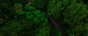 Preview wallpaper road, trees, aerial view, treetops, green