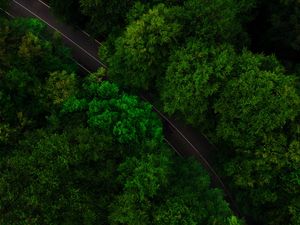 Preview wallpaper road, trees, aerial view, treetops, green