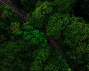 Preview wallpaper road, trees, aerial view, treetops, green