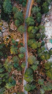 Preview wallpaper road, trees, aerial view, nature