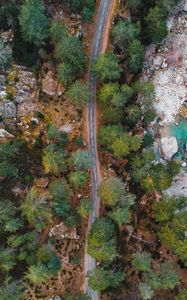 Preview wallpaper road, trees, aerial view, nature