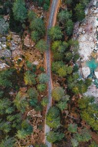 Preview wallpaper road, trees, aerial view, nature