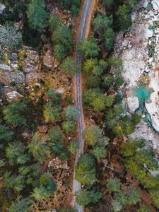 Preview wallpaper road, trees, aerial view, nature