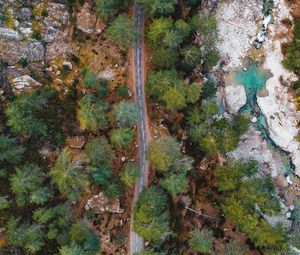 Preview wallpaper road, trees, aerial view, nature