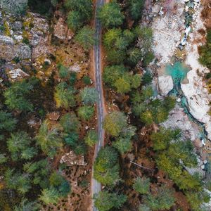 Preview wallpaper road, trees, aerial view, nature