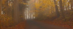 Preview wallpaper road, trees, alley, fog, nature