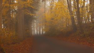 Preview wallpaper road, trees, alley, fog, nature