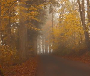 Preview wallpaper road, trees, alley, fog, nature