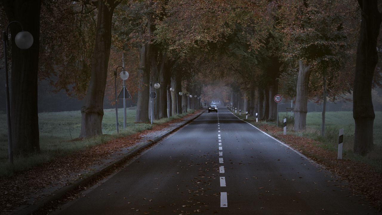 Wallpaper road, trees, alley, car, autumn
