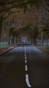 Preview wallpaper road, trees, alley, car, autumn