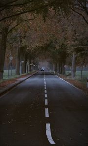 Preview wallpaper road, trees, alley, car, autumn