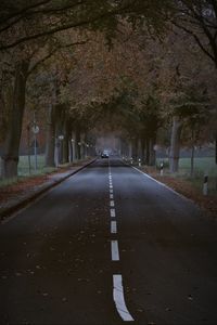 Preview wallpaper road, trees, alley, car, autumn