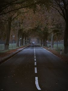 Preview wallpaper road, trees, alley, car, autumn