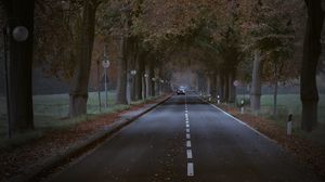 Preview wallpaper road, trees, alley, car, autumn