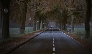 Preview wallpaper road, trees, alley, car, autumn