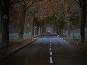 Preview wallpaper road, trees, alley, car, autumn