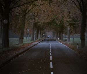 Preview wallpaper road, trees, alley, car, autumn