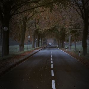 Preview wallpaper road, trees, alley, car, autumn