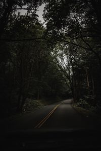 Preview wallpaper road, trees, asphalt, turn