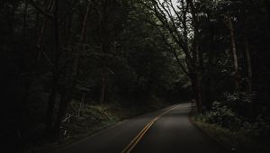 Preview wallpaper road, trees, asphalt, turn