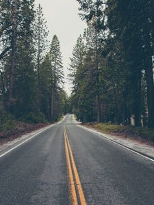 Preview wallpaper road, trees, asphalt, marking, direction, forest