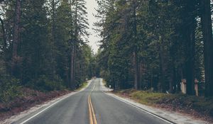 Preview wallpaper road, trees, asphalt, marking, direction, forest