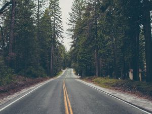 Preview wallpaper road, trees, asphalt, marking, direction, forest