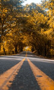 Preview wallpaper road, trees, asphalt, marking, stripes