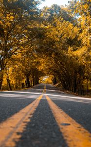 Preview wallpaper road, trees, asphalt, marking, stripes