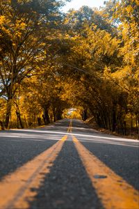 Preview wallpaper road, trees, asphalt, marking, stripes