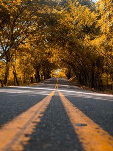 Preview wallpaper road, trees, asphalt, marking, stripes