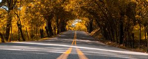 Preview wallpaper road, trees, asphalt, marking, stripes