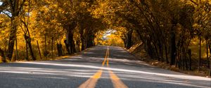 Preview wallpaper road, trees, asphalt, marking, stripes