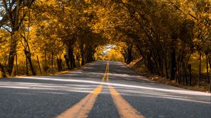 Preview wallpaper road, trees, asphalt, marking, stripes