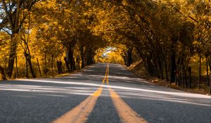 Preview wallpaper road, trees, asphalt, marking, stripes