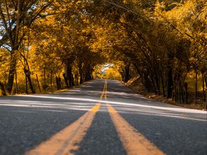 Preview wallpaper road, trees, asphalt, marking, stripes