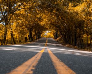Preview wallpaper road, trees, asphalt, marking, stripes