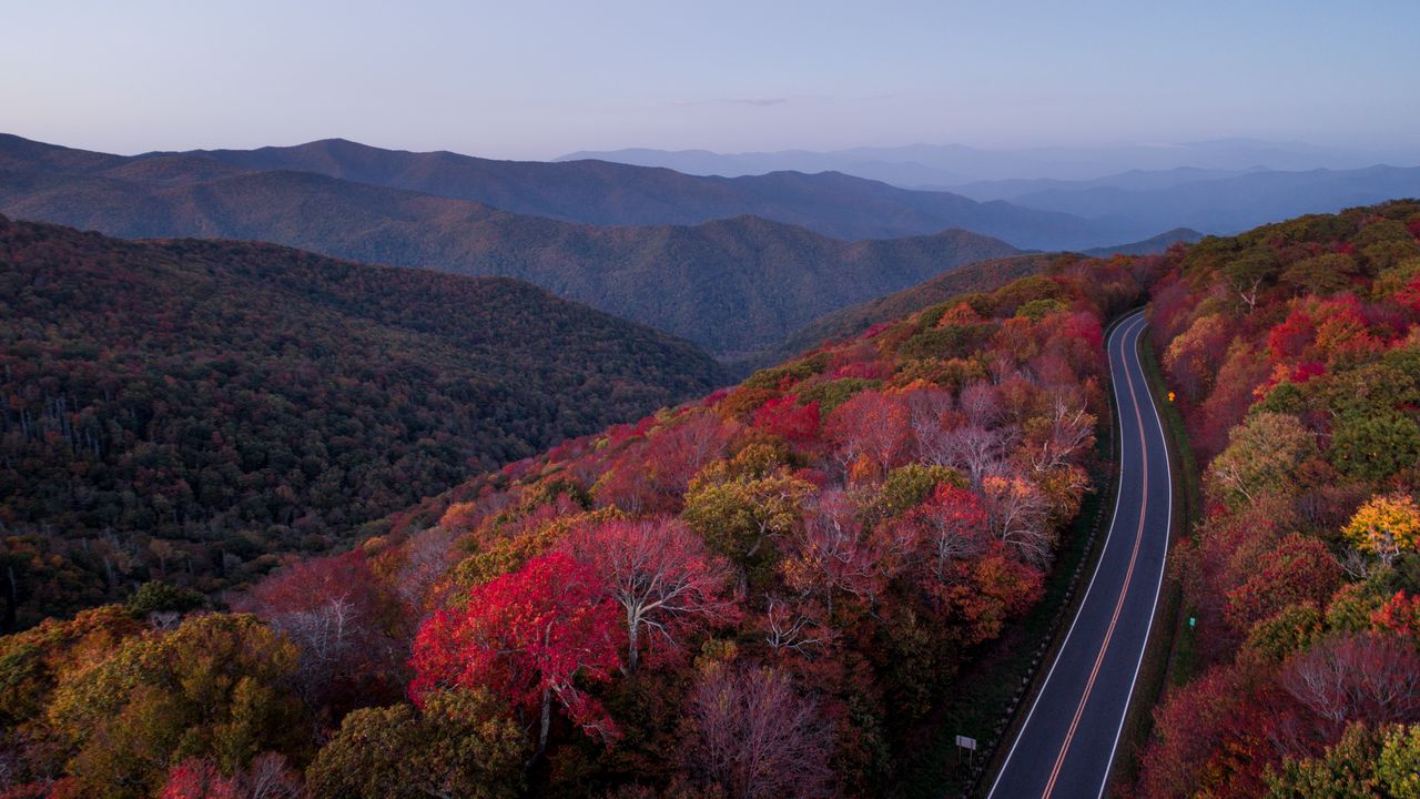 Wallpaper road, trees, autumn
