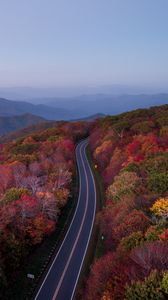 Preview wallpaper road, trees, autumn