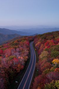 Preview wallpaper road, trees, autumn