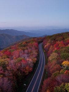 Preview wallpaper road, trees, autumn