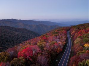 Preview wallpaper road, trees, autumn