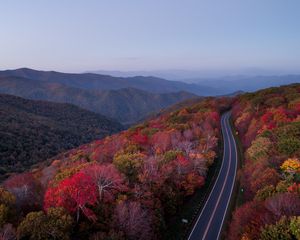 Preview wallpaper road, trees, autumn