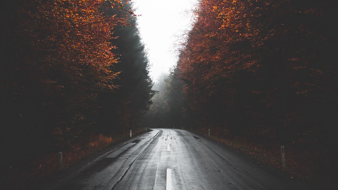 Wallpaper road, trees, autumn, fog, turn, asphalt
