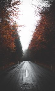 Preview wallpaper road, trees, autumn, fog, turn, asphalt