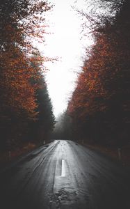 Preview wallpaper road, trees, autumn, fog, turn, asphalt