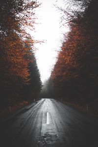 Preview wallpaper road, trees, autumn, fog, turn, asphalt