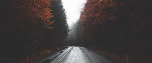 Preview wallpaper road, trees, autumn, fog, turn, asphalt